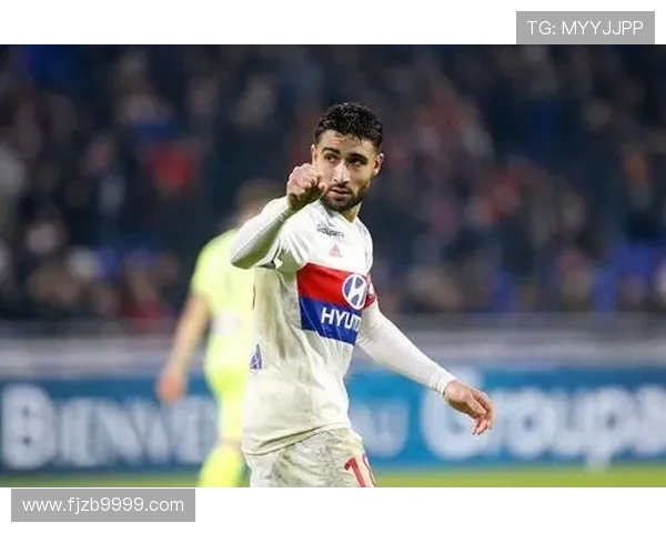 法甲里昂球员费基尔：费基尔在法甲的影响